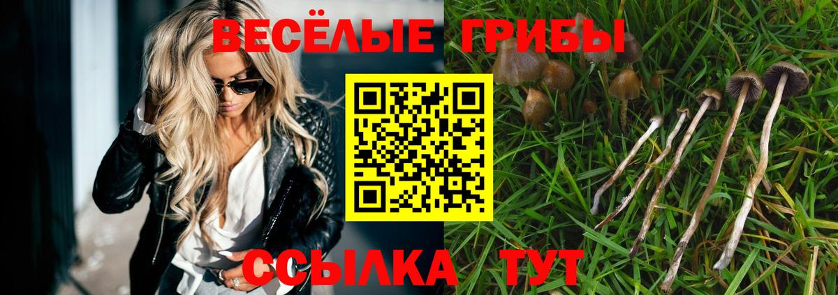 Галлюциногенные грибы мухоморы  Галлюциногенные грибы ЛСД  Вход с VPN  Фрязино 